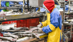 <b>解保守分离采购监管难、溯源难的问题</b>