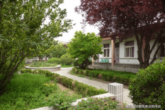 <b>现场体验适老化生间取特色护理办事</b>